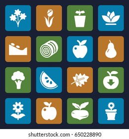 Natural icons set. set of 16 natural filled icons such as hay, leaf, pear, beet, cauliflower, spa stone, plant in pot, flower pot, flower, apple, watermelon, apple download