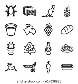 Natural icons set. set of 16 natural outline icons such as beetle, goat, deer, cangaroo, wheat, carrot, grape, peas, bread, maple syrup, water hose, pot for plants, pond