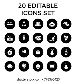 Natural icons. set of 20 editable filled natural icons such as field, spinach, bean, beehouse, kangaroo, baby bottle. best quality natural elements in trendy style.