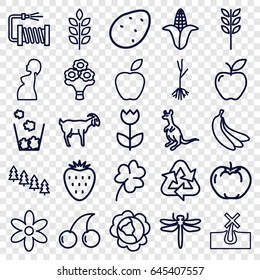 Natural icons set. set of 25 natural outline icons such as dragonfly, cangaroo, goat, wheat, potato, cabbage, apple, corn, pine tree, no hair in skin, flower, clover, cherry