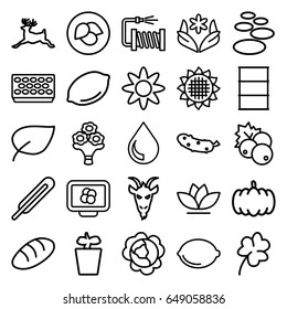 Natural icons set. set of 25 natural outline icons such as deer, goat, leaf, currant, pumpkin, cabbage, sunflower, lemon, bread, flower, clover, cucumber, barrel, water hose