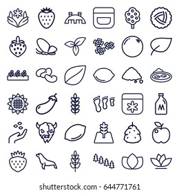 Natural icons set. set of 36 natural outline icons such as butterfly, goat, seal, milk can, nest, berry, orange, eggplant, sunflower, bean, tree, lemon, hand with seeds