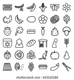Natural icons set. set of 36 natural outline icons such as kangaroo, field, nest, mushroom, hay, berry, pear, apple, grape, peas, corn, tree, bread, flower, lemon