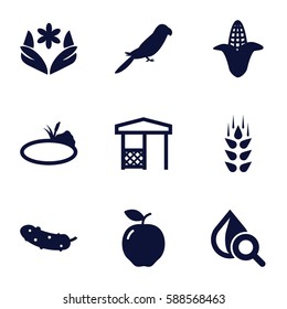 natural icons set. Set of 9 natural filled icons such as wheat, apple, corn, parrot, flower, cucumber, gazebo, drop under magnifier