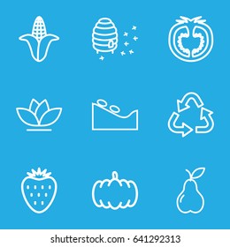 Natural icons set. set of 9 natural outline icons such as pumpkin, corn, spa stone, recycle, flower, pear, honeycomb, tomato