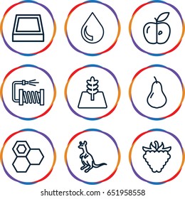Natural icons set. set of 9 natural outline icons such as cangaroo, pear, honey, water hose, raspberry, apple, tree, square plant pot
