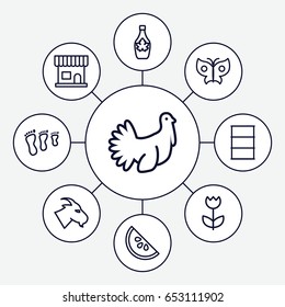 Natural icons set. set of 9 natural outline icons such as goat, beauty salon, maple syrup, barrel, turkey, flower, watermelon, butterfly