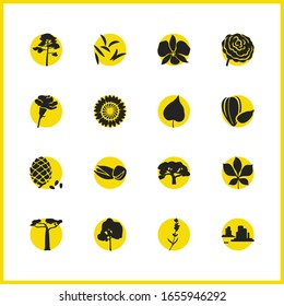 Natural icons set with carnation, caraway and camellia elements. Set of natural icons and cumin concept. Editable vector elements for logo app UI design.