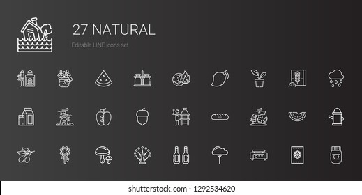 natural icons set. Collection of natural with crepe maker, tree, additives, mushrooms, sunflower, olive, hurricane, baguettes, brick grill. Editable and scalable natural icons.