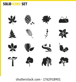 Natural icons set with lily flower, willow and fir tree elements. Set of natural icons and tropical branch concept. Editable vector elements for logo app UI design.