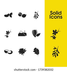 Natural icons set with macadamia, cashew and chestnut elements. Set of natural icons and water lily concept. Editable vector elements for logo app UI design.
