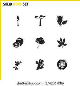 Natural icons set with sunflower seeds, baobab and cotton flower elements. Set of natural icons and blossom concept. Editable vector elements for logo app UI design.