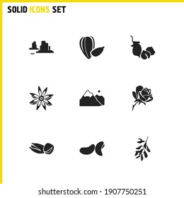 Natural icons set with sunflower seeds, canyon and mountain elements. Set of natural icons and hyacinth concept. Editable vector elements for logo app UI design.