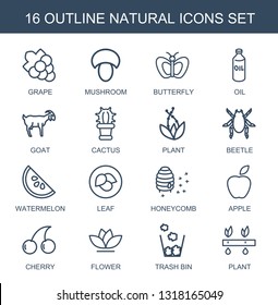natural icons. Trendy 16 natural icons. Contain icons such as Grape, mushroom, butterfly, oil, goat, cactus, plant, beetle, watermelon, leaf. natural icon for web and mobile.