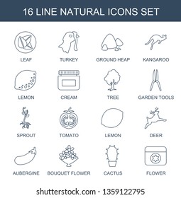 natural icons. Trendy 16 natural icons. Contain icons such as leaf, turkey, ground heap, kangaroo, lemon, cream, tree, garden tools, sprout, tomato. natural icon for web and mobile.