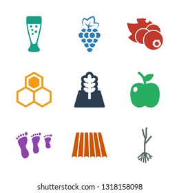natural icons. Trendy 9 natural icons. Contain icons such as sprout, field, family footprint, apple, tree, honey, currant, grape, milk glass. natural icon for web and mobile.