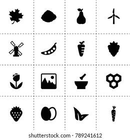 Natural icons. vector collection filled natural icons. includes symbols such as berry, honeycombs, pear, windmill, strawberry, eggs, carrot. use for web, mobile and ui design.