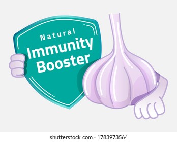 Natural Immunity Booster shield design with garlic. Garlic immunity design elements for cafeteria or food hall