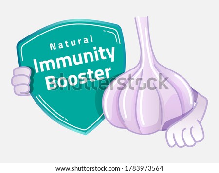 Natural Immunity Booster shield design with garlic. Garlic immunity design elements for cafeteria or food hall