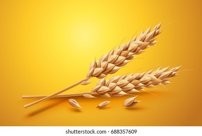 Natural ingredient element, close up look at wheat isolated on yellow background in 3d illustration