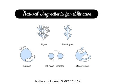 Natural Ingredients for Skincare. Icons included: Algae, Red Algae, Mangosteen, Quince, Glucose Complex. Editable Stroke and Colors.