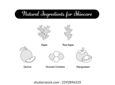 Natural Ingredients for Skincare. Icons included: Algae, Red Algae, Mangosteen, Quince, Glucose Complex. Editable Stroke and Colors.