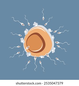 Inseminação natural de oócito. Muitos espermatozoides correm para o óvulo, fertilização - vetor, ilustração de cor