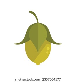 Natural jojoba icon flat vector. Plant aroma. Cosmetic bottle isolated
