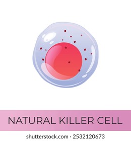 Célula assassina natural. Célula do sistema linfoide. Ícone de vetor isolado