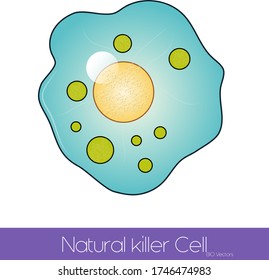 Natural Killer Cell  Simple Structure Illustration. 