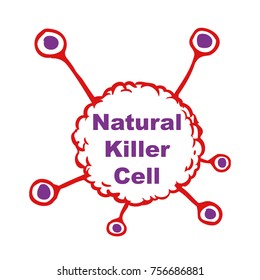 Natural Killer Cells