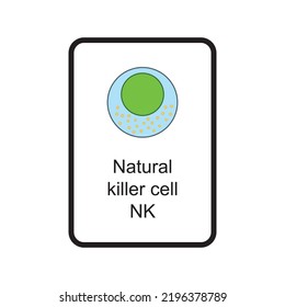 Natural Killer - NK Cell Cellular Schematic Structure Vector Illustration, Eps10 Icon