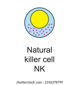 Natural Killer - NK Cell Cellular Schematic Structure Vector Illustration, Eps10 Icon