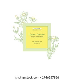 Natural label design, vector brand identity sketch elements for package, badge, card. Chamomile plant branch with flowers. Hand drawn nature label frame with  chamomile. Minimalistic clean design