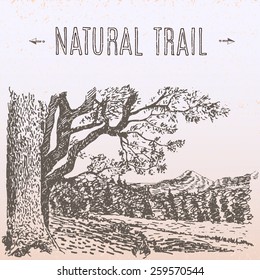 natural landscape with big tree and mountains vector illustration