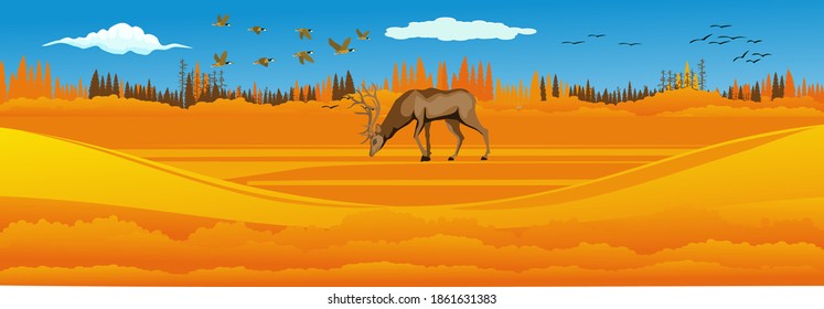 Natural landscape, deer under tree on the yellow autumn hills, vector illustration