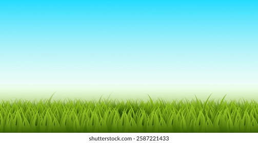 Natural landscape with grass. Green lawn and blue clean sky. Realistic isolated horizontal background. Park meadow. Backdrop design. 3d Isolated elements. Ecological natural vector concept