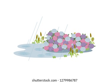 Natural landscape.
Image of the landscape of the rainy season.
Illustration of the rainy season.