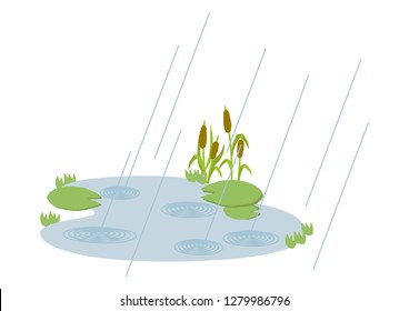 Natural landscape.
Image of the landscape of the rainy season.
Illustration of the rainy season.