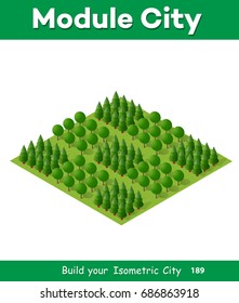 Natural landscape isometric forest with trees and plants green travel leaf scene
