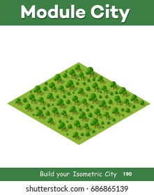 Natural landscape isometric forest with trees and plants green travel leaf scene