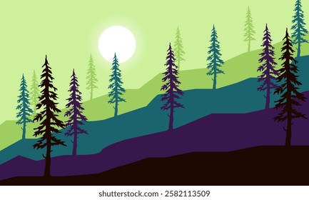 Natural Landscape of Pine tree forest