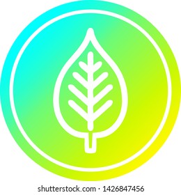natural leaf circular icon with cool gradient finish