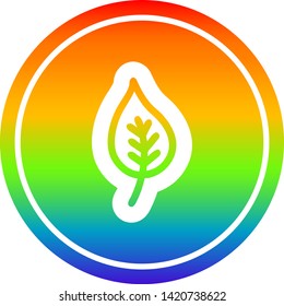 ícone circular folha natural com acabamento gradiente arco-íris