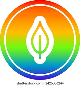natural leaf circular icon with rainbow gradient finish