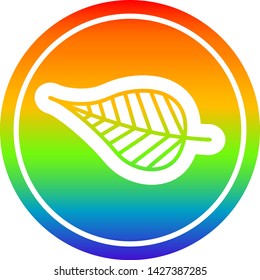icono circular de hoja natural con acabado degradado de arco iris