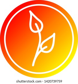 natural leaf circular icon with warm gradient finish