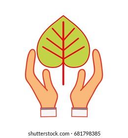 natural leaf to conservation the environment in the hands
