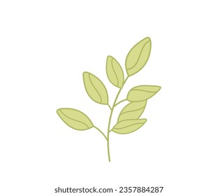 Natural leaf design logo Illustration