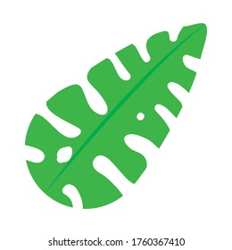 natural leaf flat style icon design of Floral nature plant garden ornament botany decoration and life theme Vector illustration